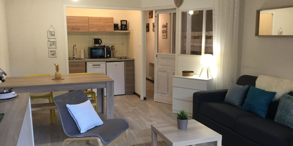 appartement à ST LARY SOULAN (65170)